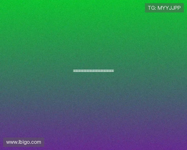 鲤城人大深入开展专题调研全力聚焦道路交通安全提升措施