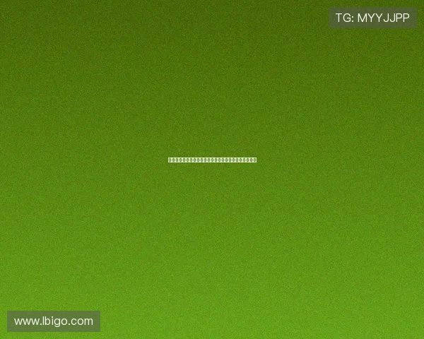 云南草海的早晨小锤叮铛声唤醒沉睡的小镇与静谧的湖光